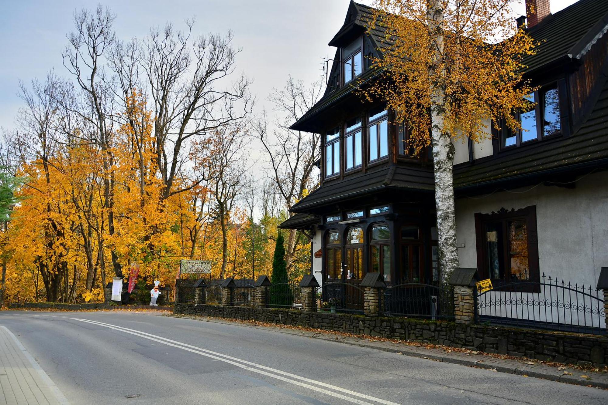 Czarna Willa Закопане Екстериор снимка